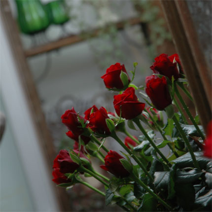 image/galerie/ladengeschaeft/13-lange-rote-rosen-blumen-fritsch.jpg