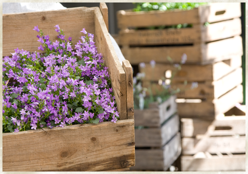 lieferservice blumen fritsch